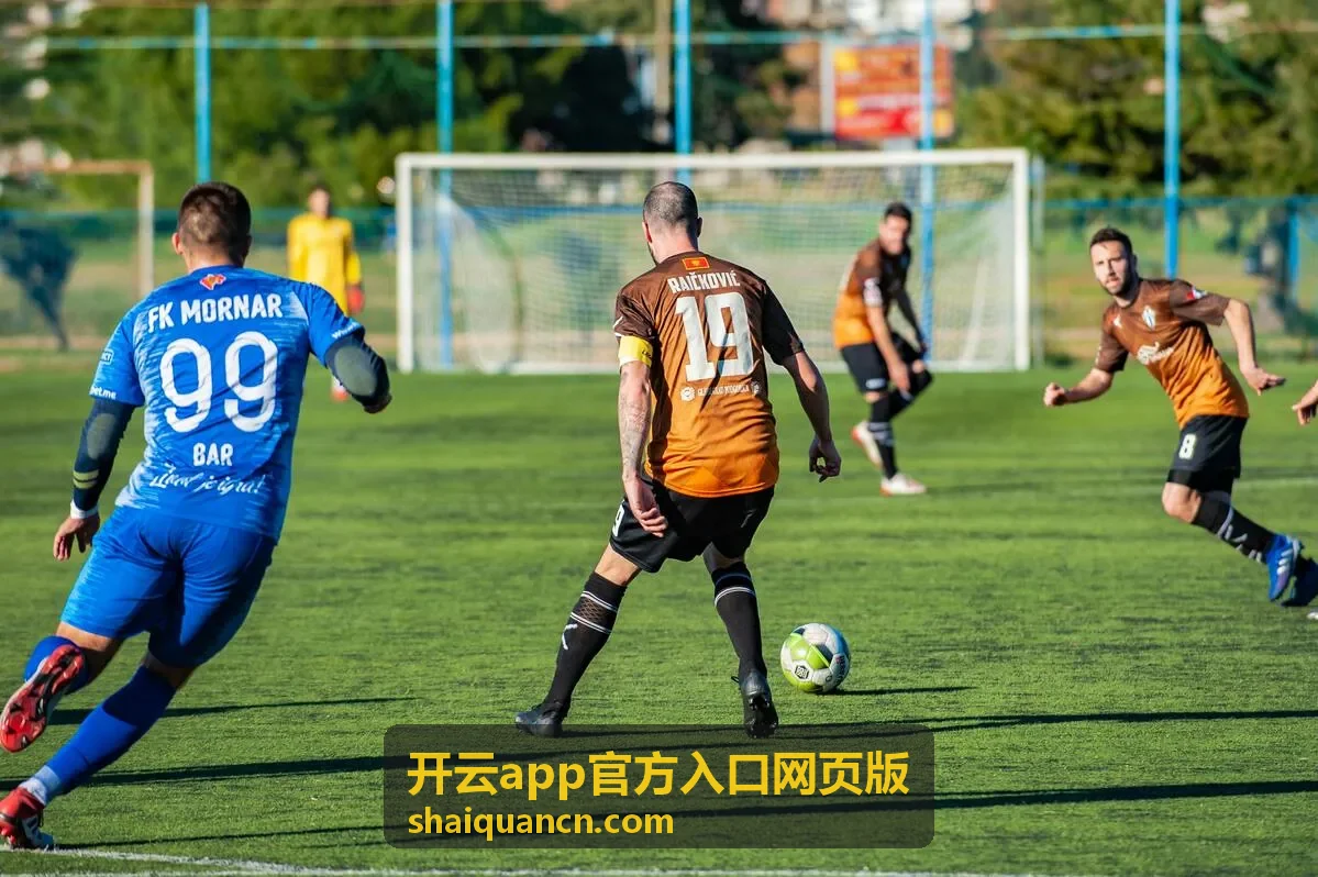 开云app官方入口网页版使用场景与操作教程配图