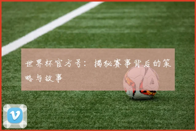 世界杯官方号：揭秘赛事背后的策略与故事